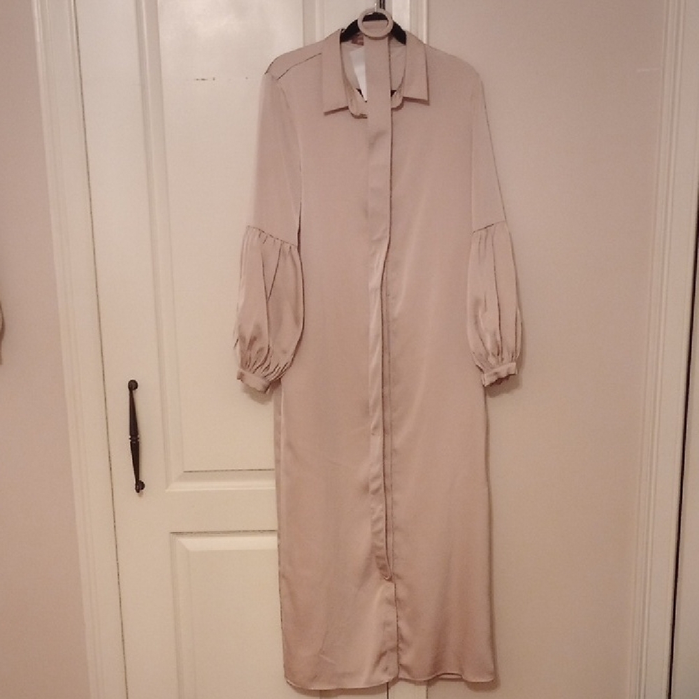 Chic Long Sleeve Light Pink Silky Dress